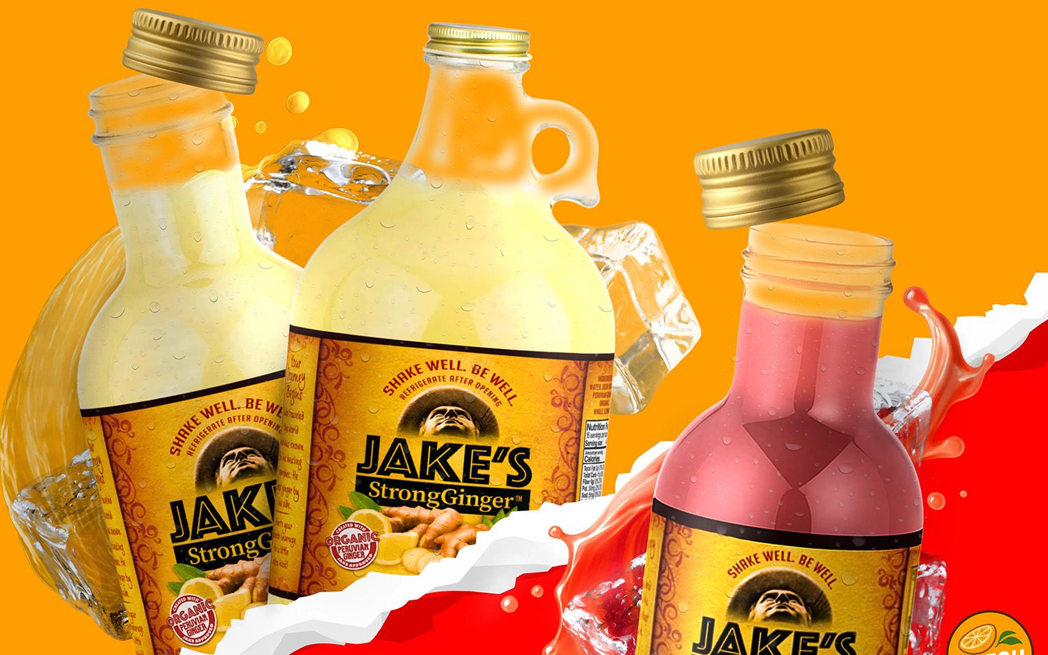 Jake's StrongGinger subscribe and save case study